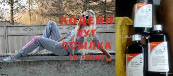хмурый Алексин