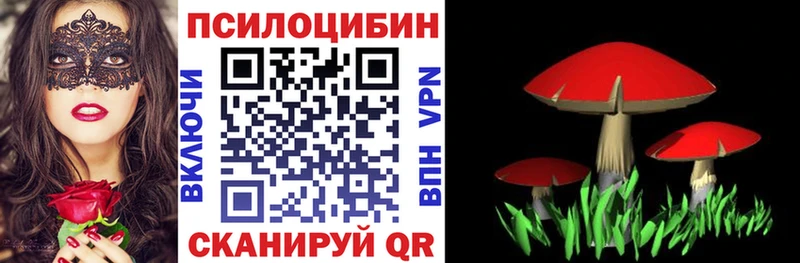 shop Telegram  как найти закладки  Сысерть  Псилоцибиновые грибы Psilocybe 